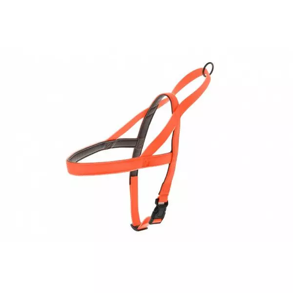 Силиконовая шлейка Ferribiella 1,5X49-67 см оранжевая