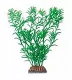 Растение Тритон пластиковое 19 см