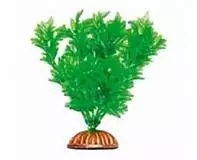 Растение Тритон пластик 16 см 