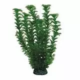 Растение Laguna "Лигодиум" зеленый, 200 мм